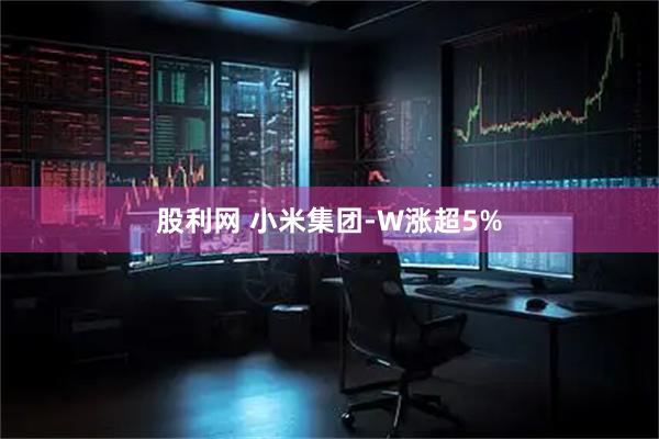 股利网 小米集团-W涨超5%