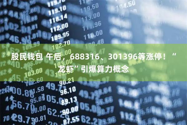 股民钱包 午后，688316、301396等涨停！“龙虾”引爆算力概念