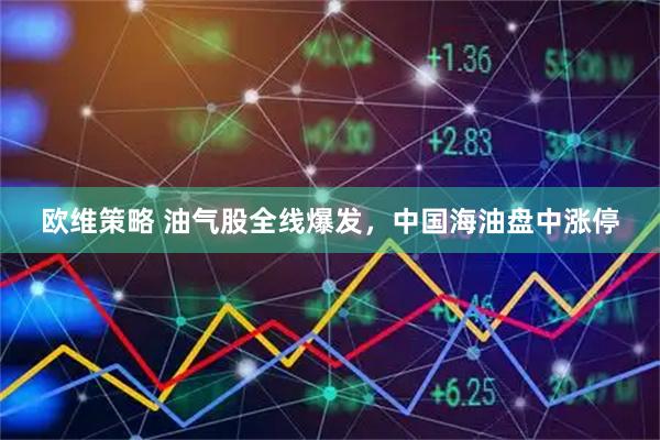 欧维策略 油气股全线爆发，中国海油盘中涨停