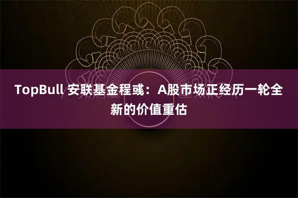 TopBull 安联基金程彧：A股市场正经历一轮全新的价值重估