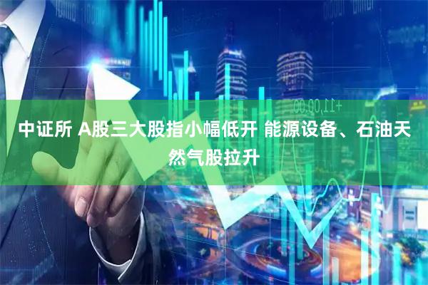 中证所 A股三大股指小幅低开 能源设备、石油天然气股拉升