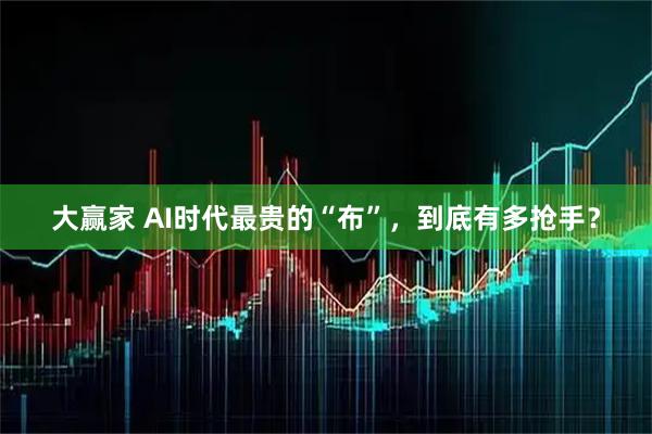 大赢家 AI时代最贵的“布”，到底有多抢手？