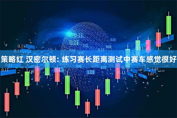 策略红 汉密尔顿: 练习赛长距离测试中赛车感觉很好