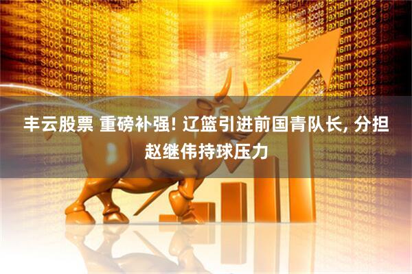 丰云股票 重磅补强! 辽篮引进前国青队长, 分担赵继伟持球压力